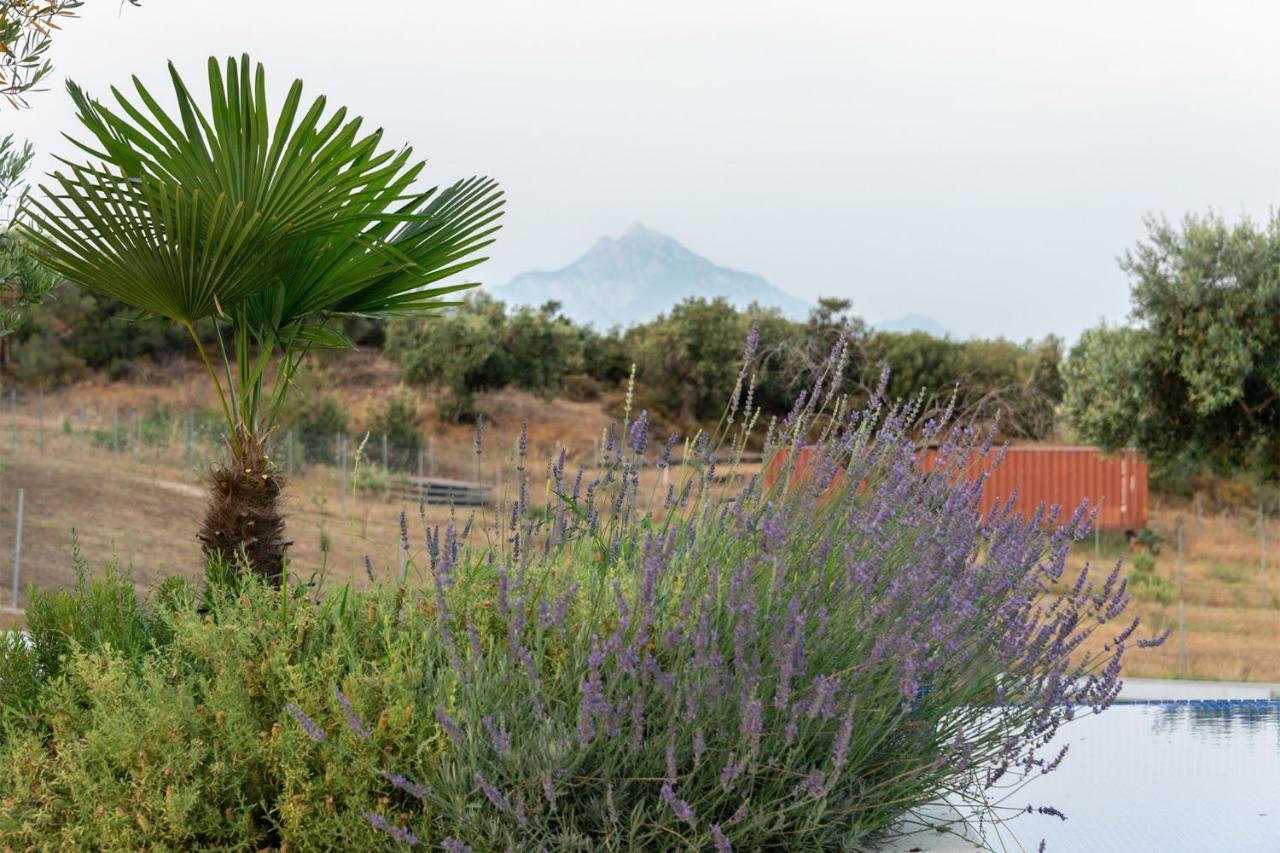 סארטי Afisia Villas מראה חיצוני תמונה
